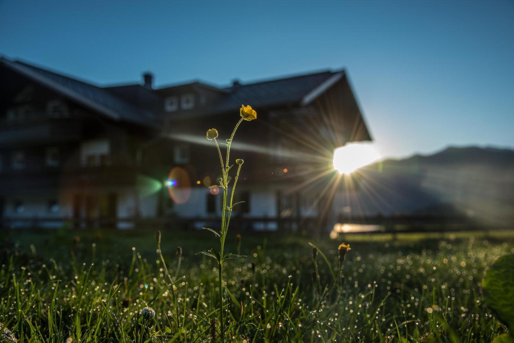 Alpenhaus Steiner - Top-Ferienwohnungen - Sommer-Bergbahn Inklusive Bolsterlang Bagian luar foto