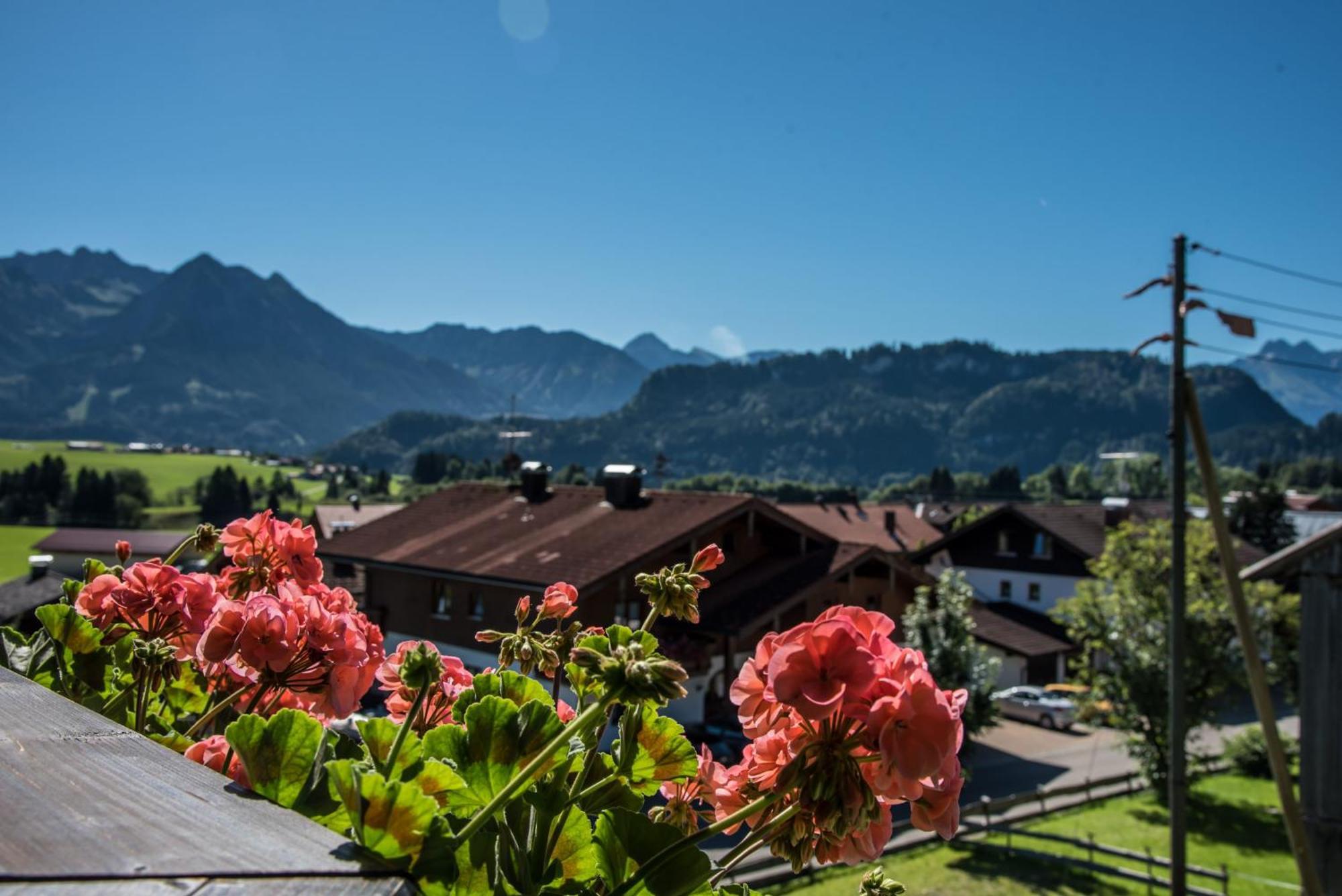 Alpenhaus Steiner - Top-Ferienwohnungen - Sommer-Bergbahn Inklusive Bolsterlang Bagian luar foto