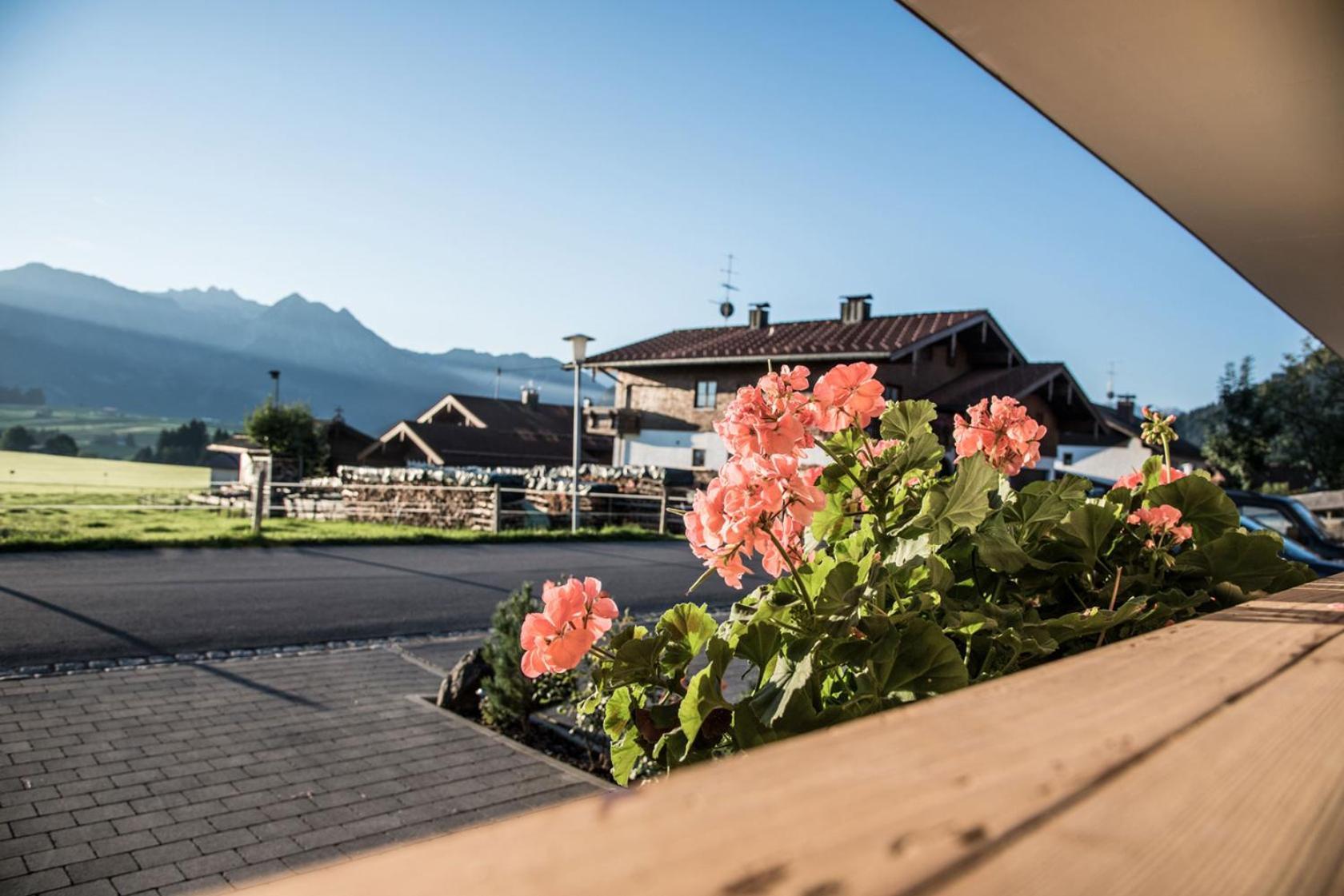 Alpenhaus Steiner - Top-Ferienwohnungen - Sommer-Bergbahn Inklusive Bolsterlang Bagian luar foto
